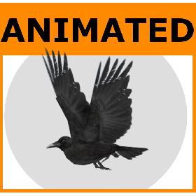 Animated Low Poly Raven